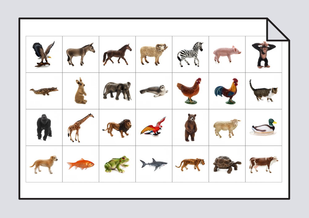 Láminas para trabajar el vocabulario campo semántico animales