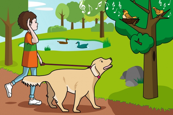 En la escena, se observa al niño con el perro escuchando cantar a unos pájaros que están sobre una rama en un árbol del parque.