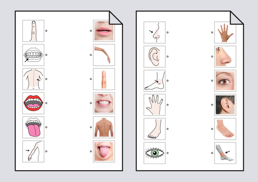 Relacionar Cuerpo Humano: Pictogramas-fotografías: Relaciones #Soyvisual