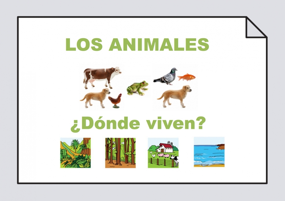 Los animales de la granja: Vocabulario #Soyvisual