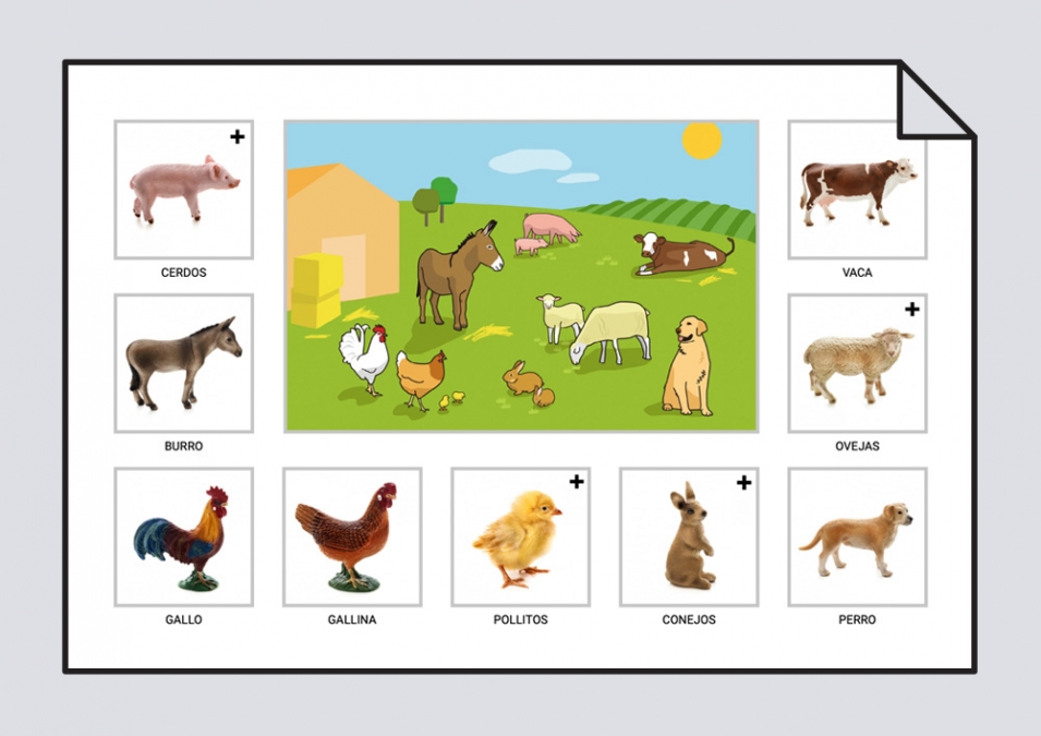 Animales de la granja  Características e imágenes