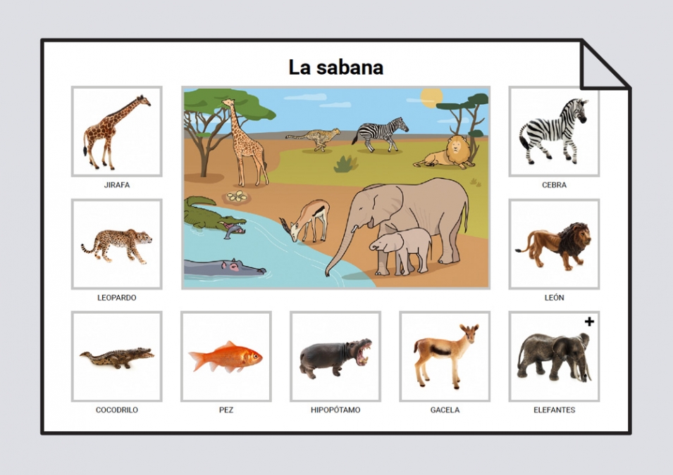 Libro Lámina de Vocabulario Visual ANIMALES De Varios Autores