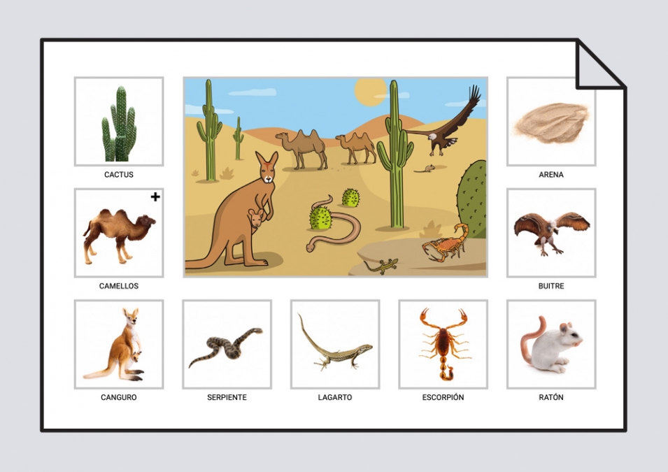 animales del desierto con nombres e imágenes